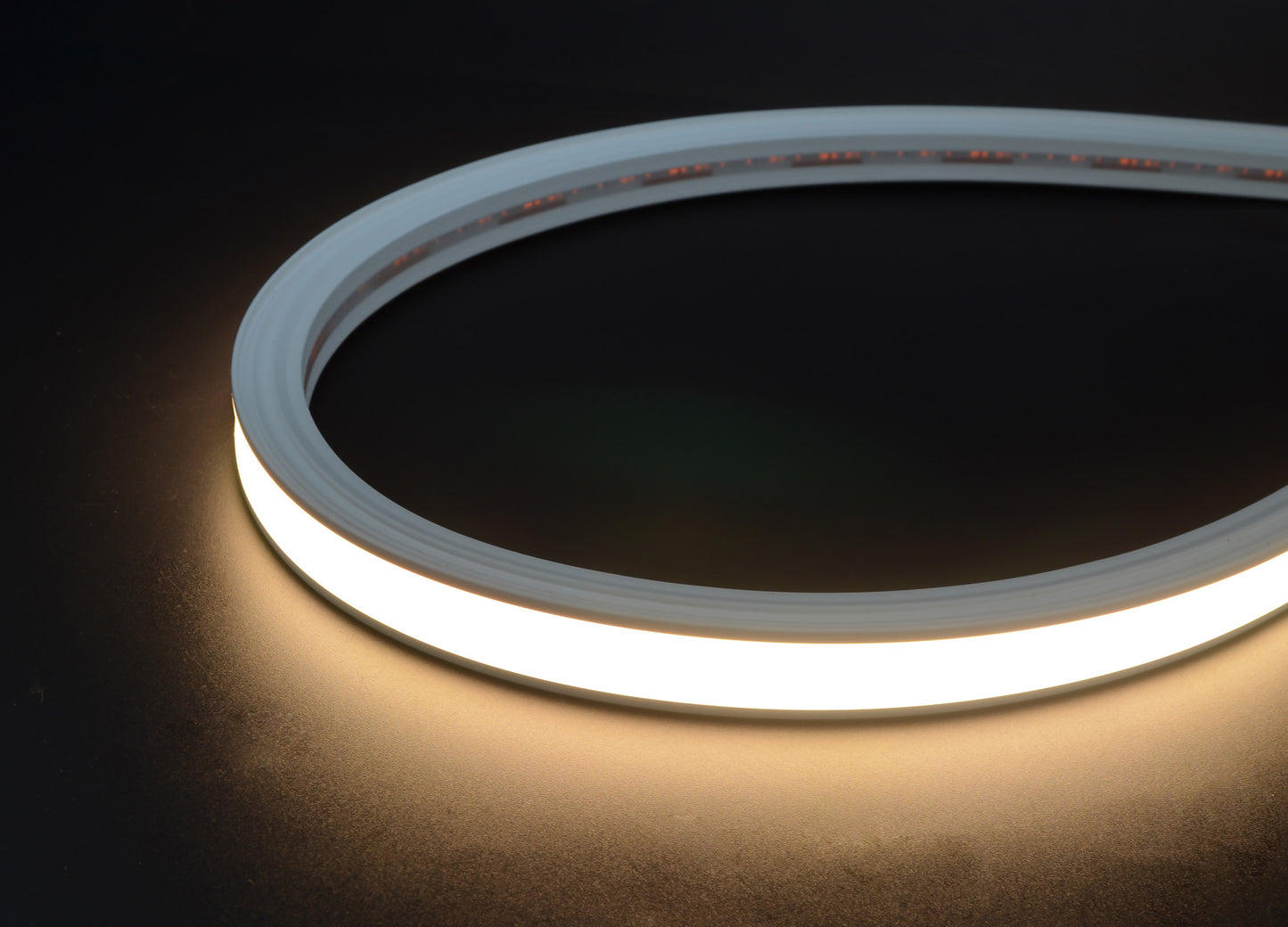 Led Strip Recessed Neon RECE 1615 SV