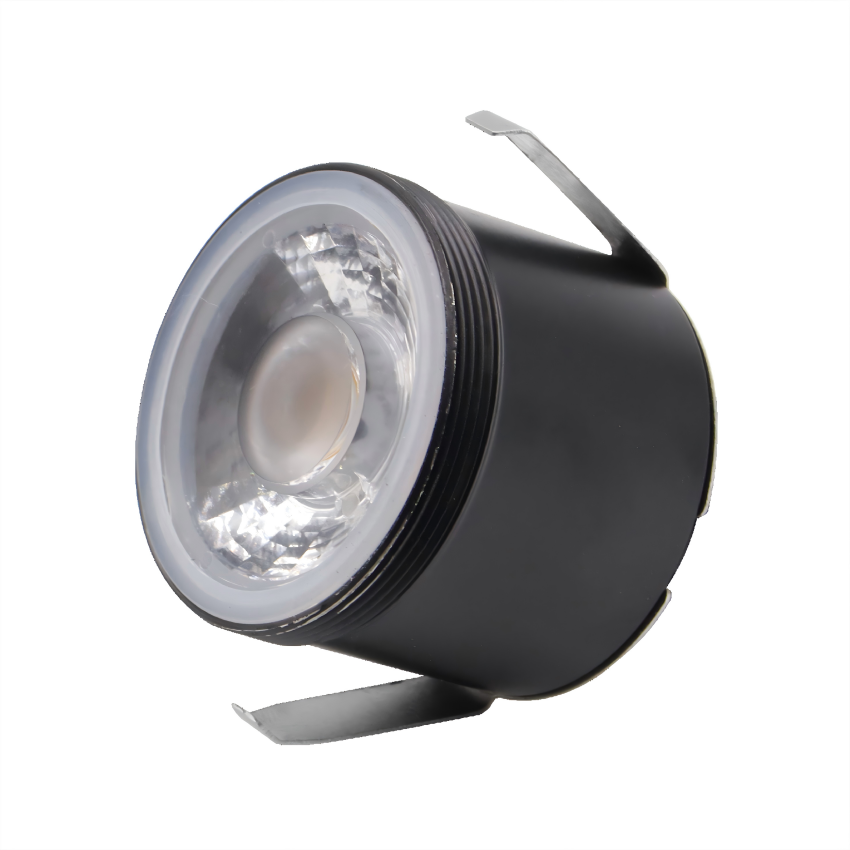 LT9905 - stainless steel in-ground light